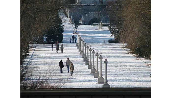 Hotel Central poza 12